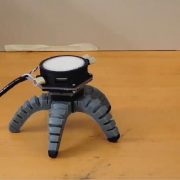 Un Robot Mitad Hongo Mitad Máquina Revoluciona la Ciencia