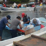 Ribereños reportan baja captura del camarón 7 barbas