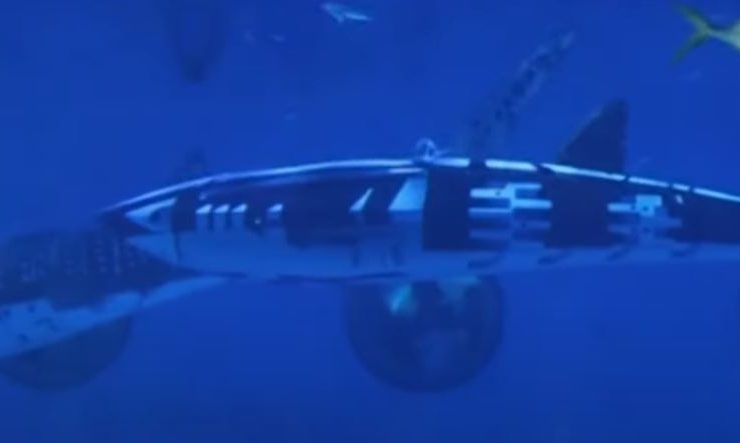 Un Tiburón Robot en Acuario de China Causa Indignación