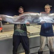 Capturan un Pez Remo en Australia: Un mal Augurio