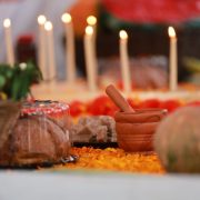 Festival Celebrando la Eternidad en Centro: Todo lo que Necesitas Saber