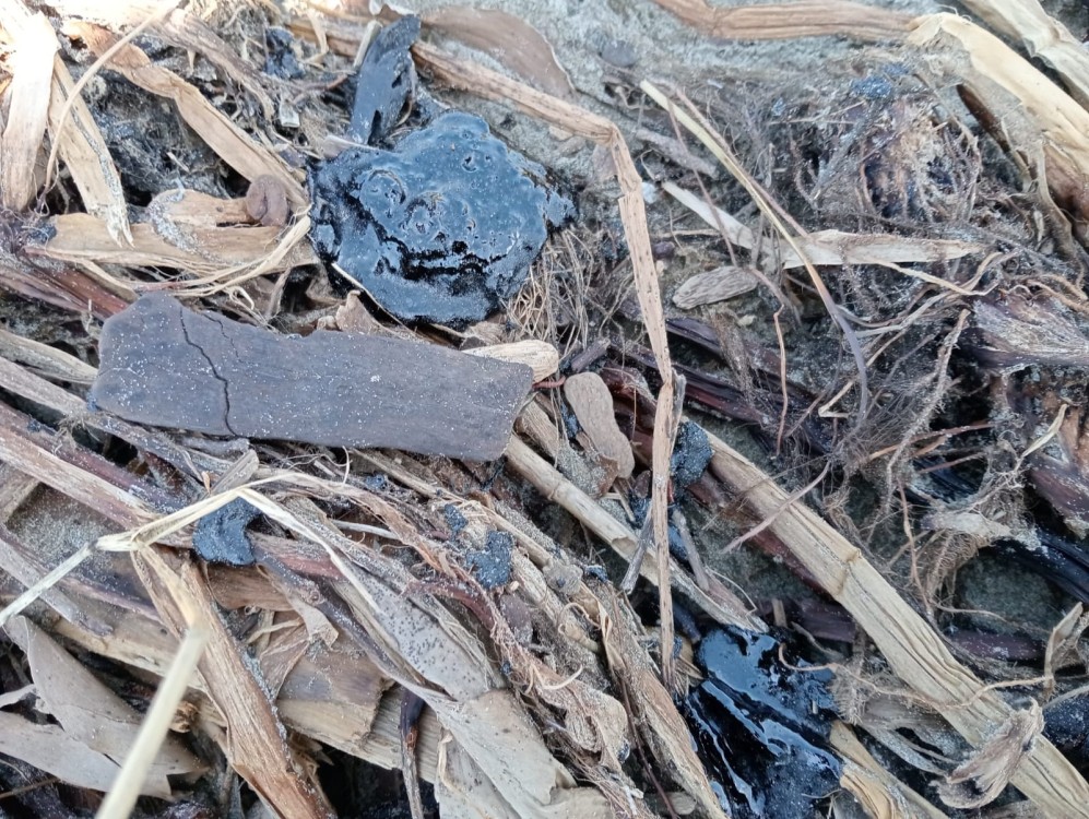 Presencia de chapopote en playas