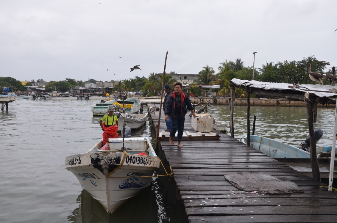 Mal tiempo afecta al sector pesquero ribereño