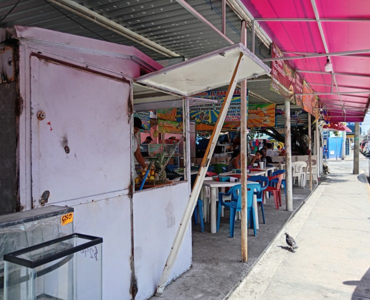 La FLTC tiene la facultad de nombrar a algún representante sindical