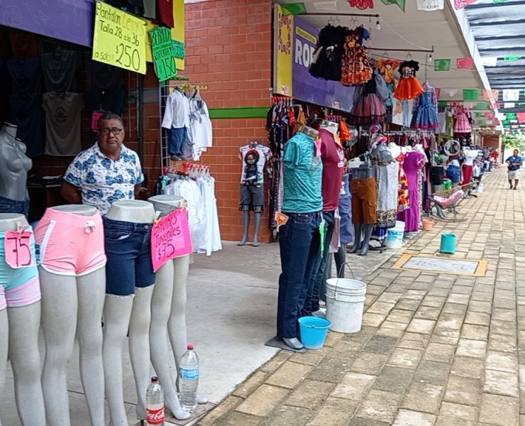 Economía del municipio de Carmen sobre la lona