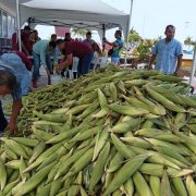 Proyectarán centros de acopios para frutas y verduras