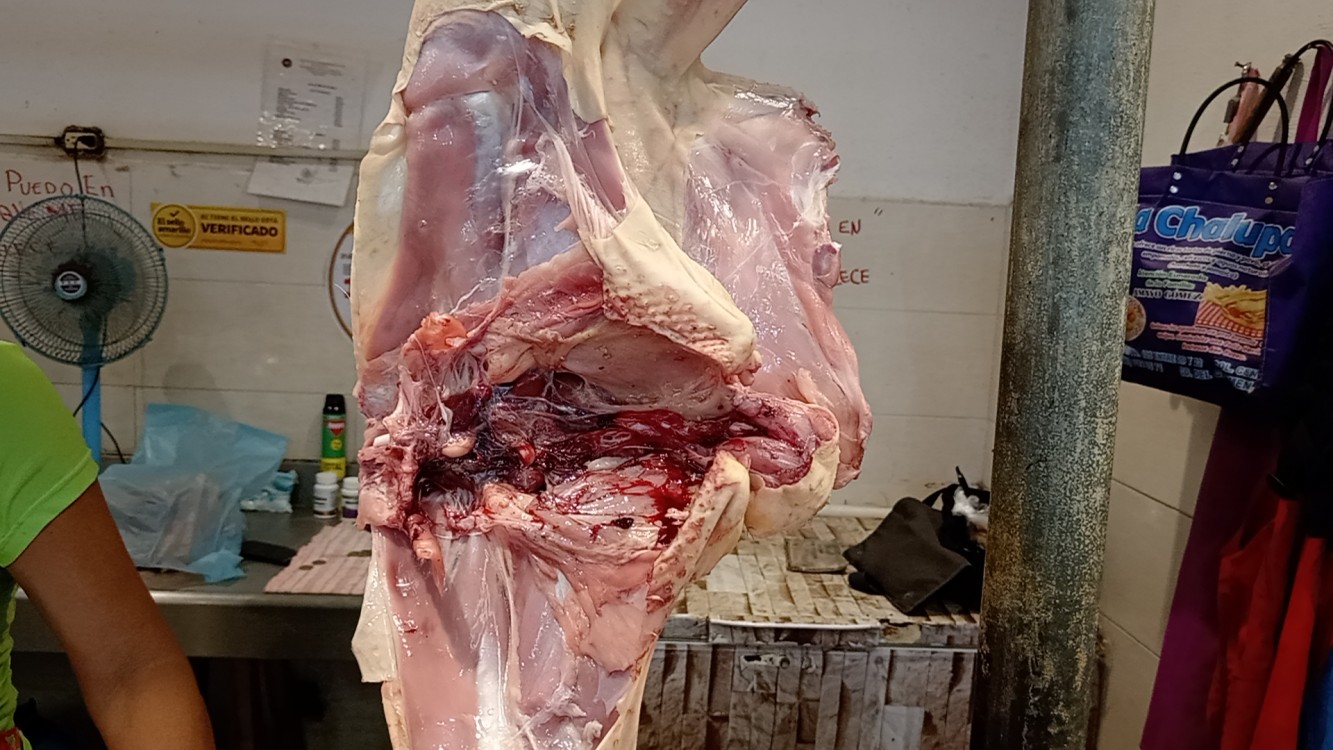 Comienza a repuntar la venta de pavos