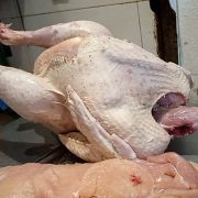 Comienza a repuntar la venta de pavos