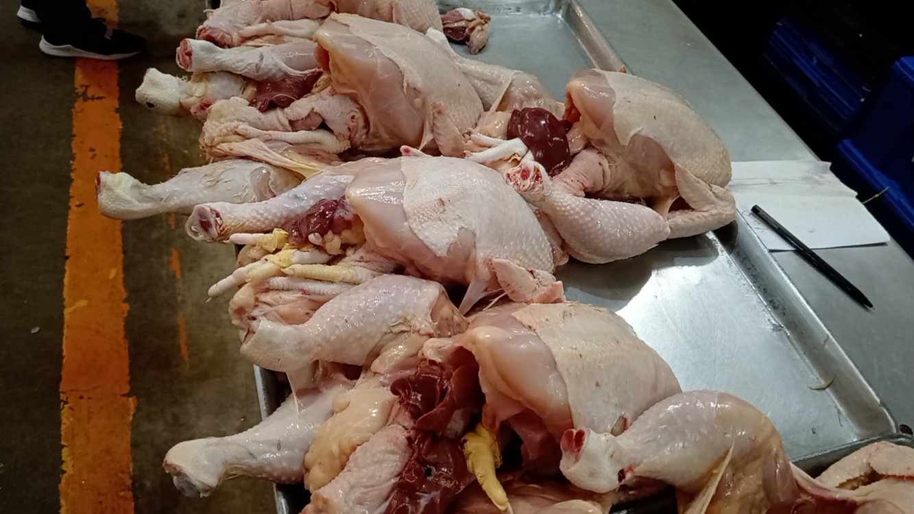 Comerciante de pollos esperan llegar al 100% en sus ventas