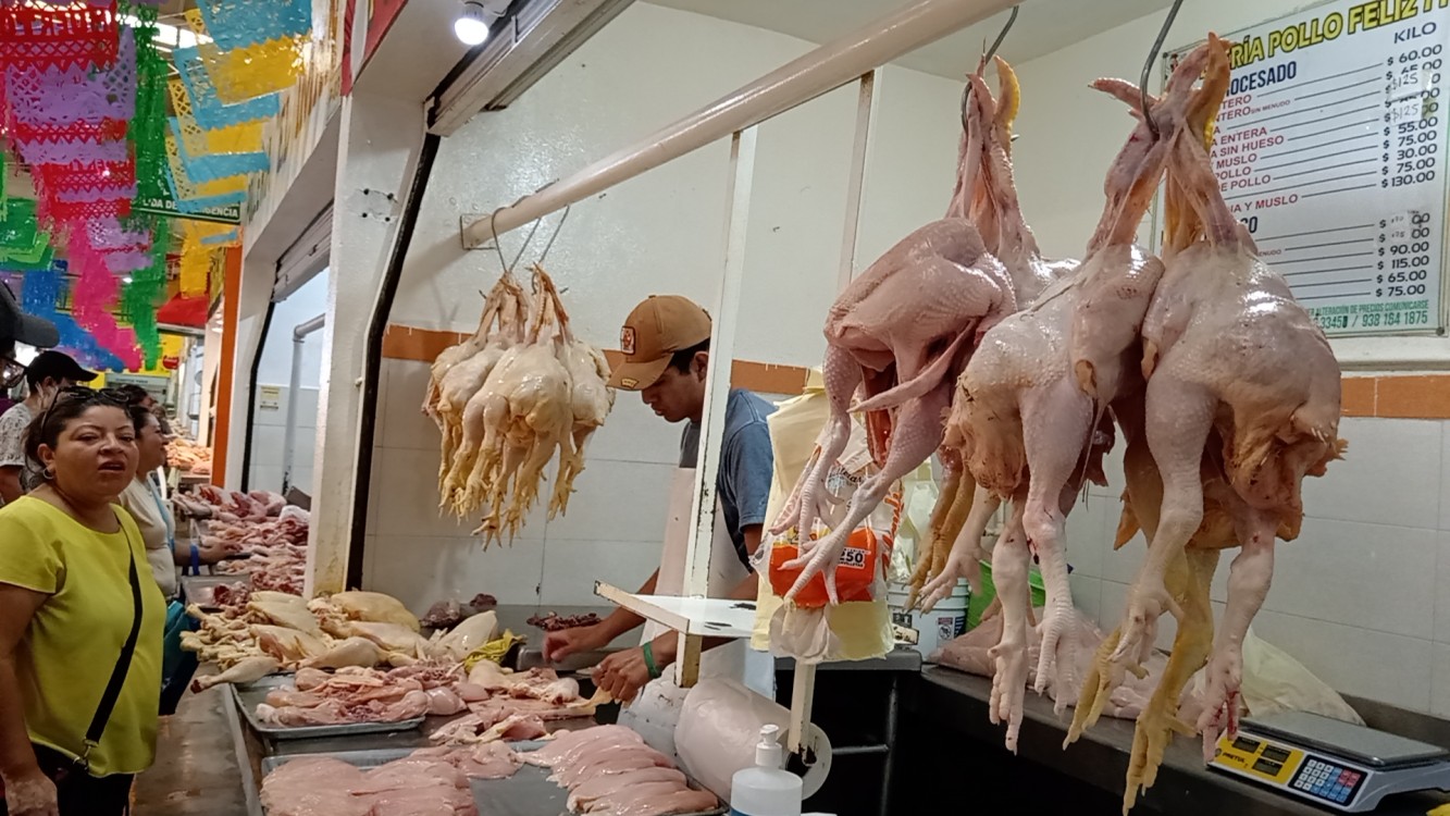 Aumenta venta de pollos en un 60%