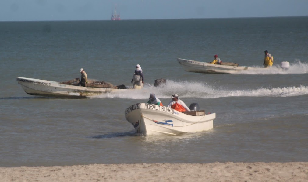 Ribereños reportan baja captura del camarón 7 barbas