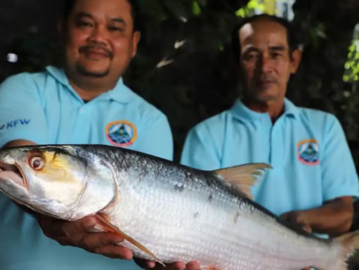 Reaparece un pez después de 20 años estando "extinto"