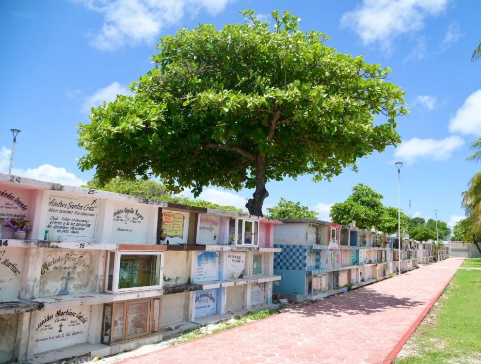 Se intensifica trabajos de mantenimiento en panteones