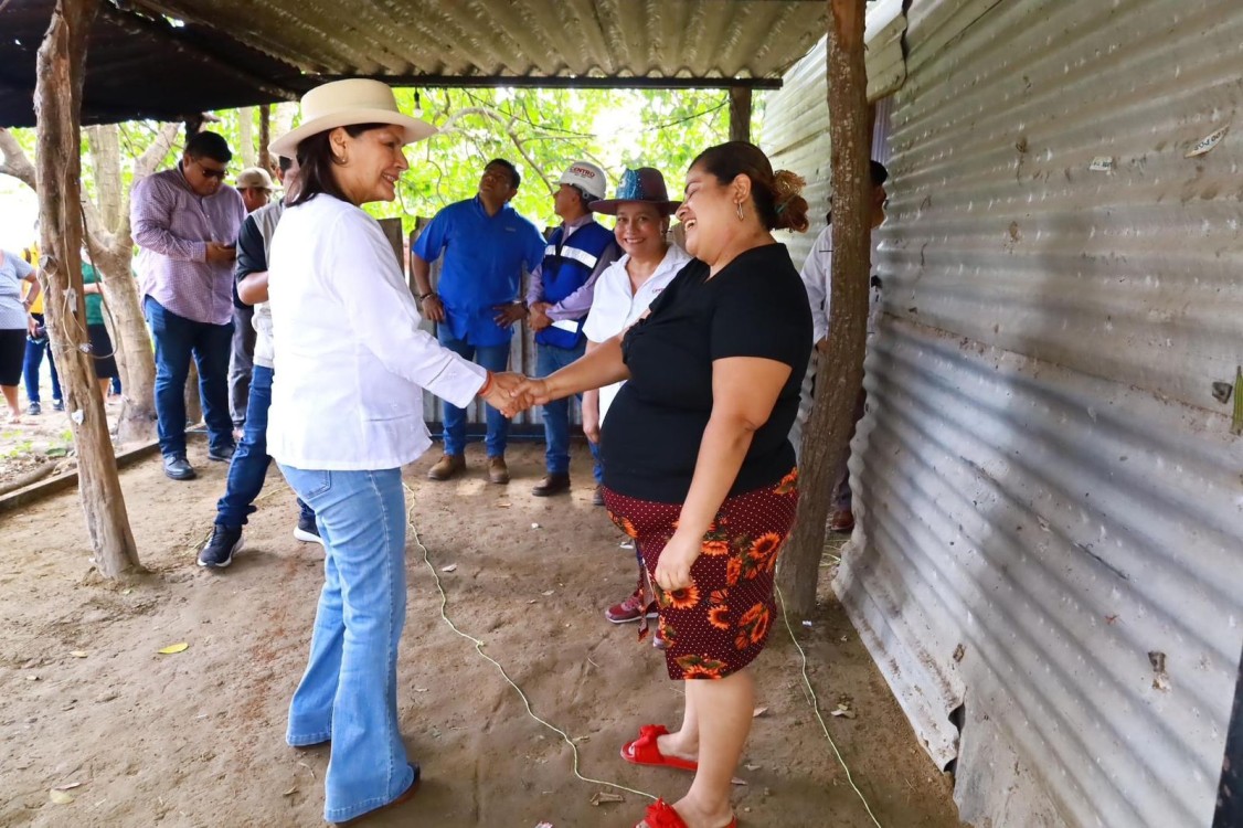 Osuna Huerta afirmó que la construcción de pisos firmes