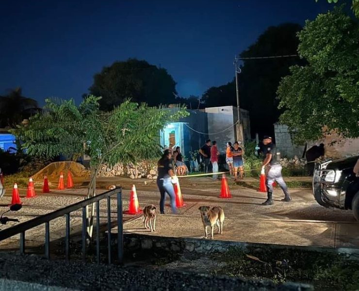 Sujeto degolló a un perrito: Un acto de crueldad en San Pedro Chimay