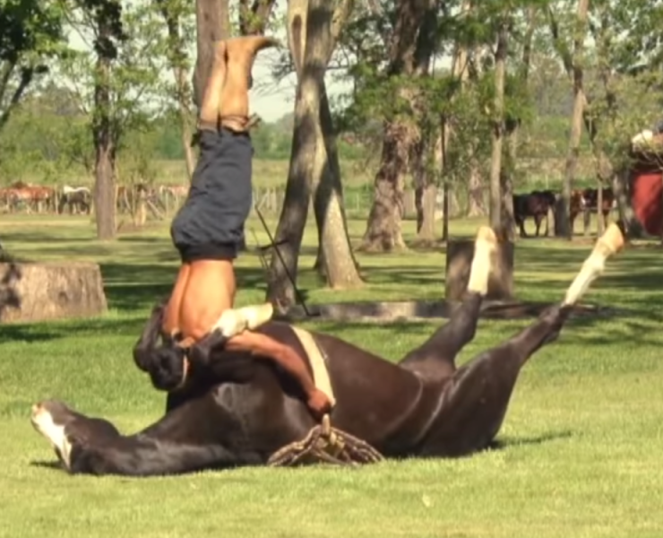 El Excéntrico Yoga Sobre Caballos