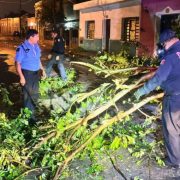 Yucatán después del Huracán Milton: Resiliencia y Esperanza
