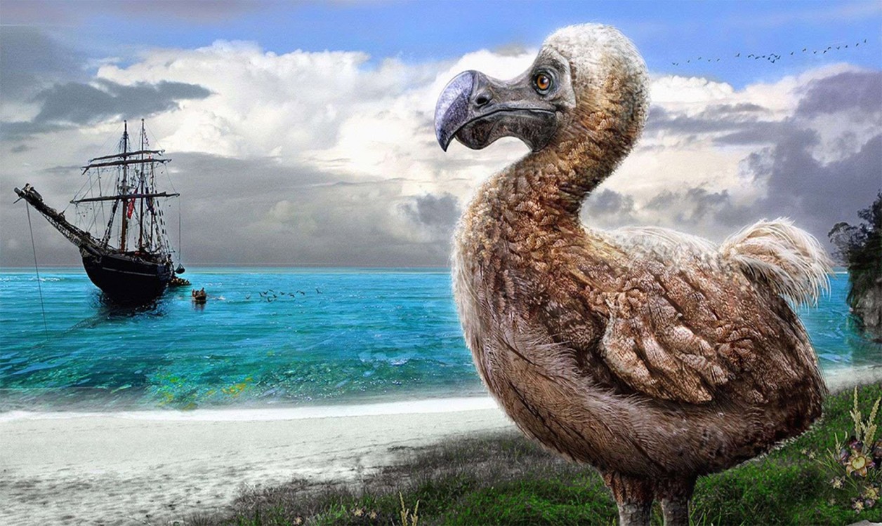 Relatos de Regreso: Historias de Especies.