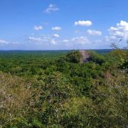 Nuevas pirámides en Campeche: ¡Un hallazgo asombroso!