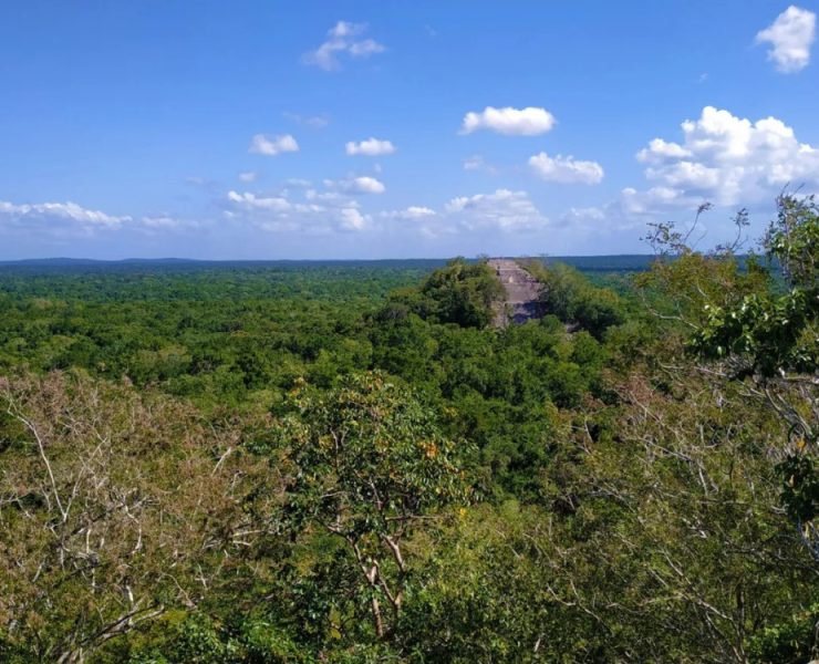 Nuevas pirámides en Campeche: ¡Un hallazgo asombroso!