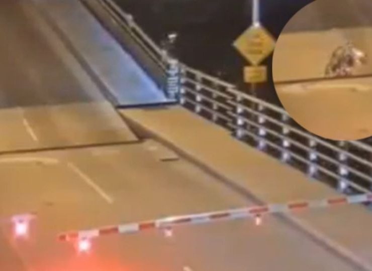 Milagro: Ciclista aplastado por un puente sobrevive