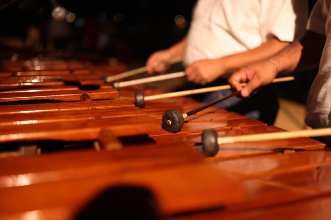marimba y los tambores,
