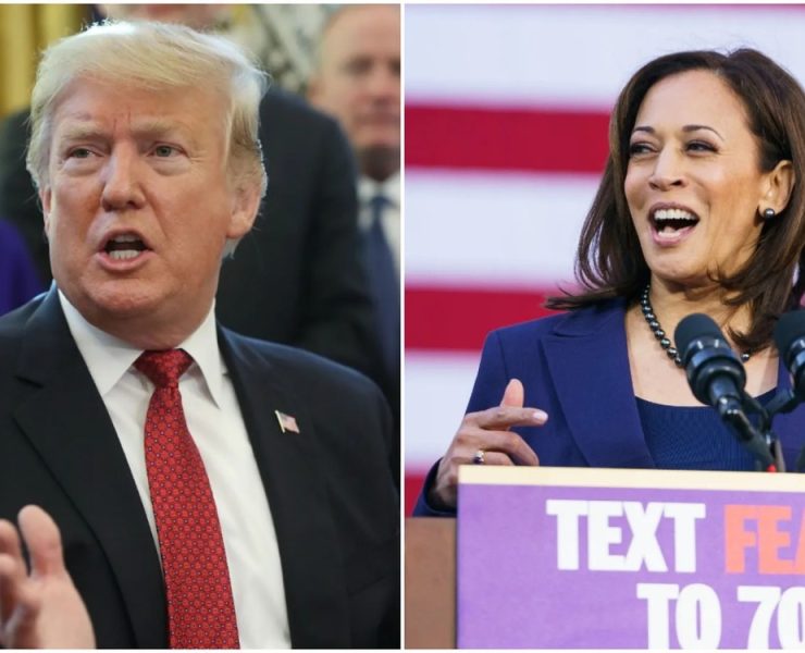 ¿Cómo van las elecciones en USA 2024? Todo lo que necesitas saber