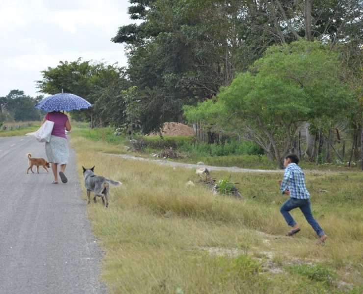 Pueblos originarios no quieren seguir siendo ciudadanos de tercera