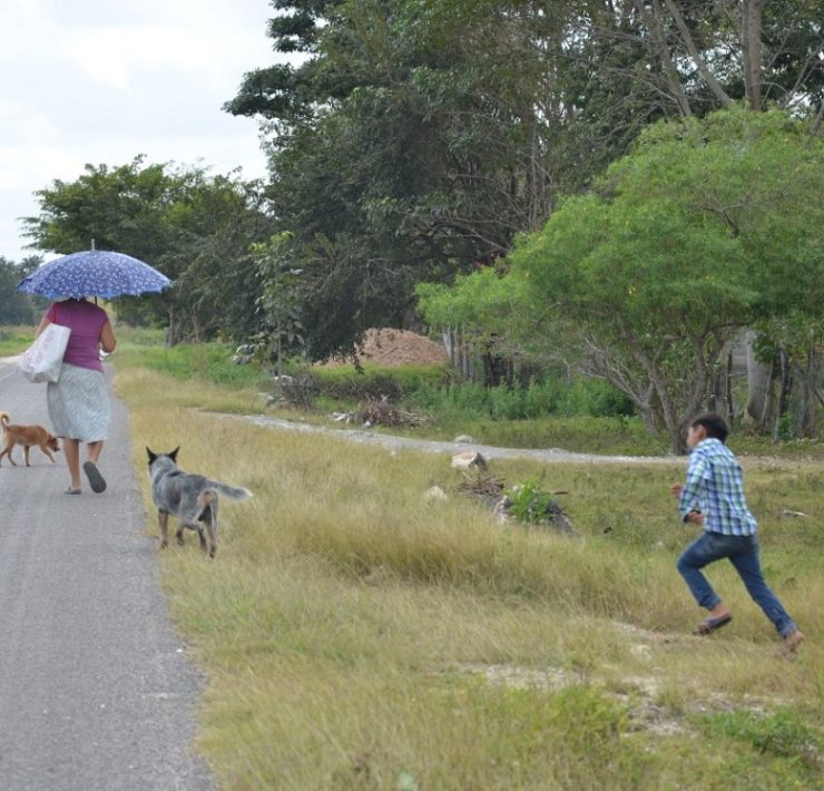 Pueblos originarios no quieren seguir siendo ciudadanos de tercera