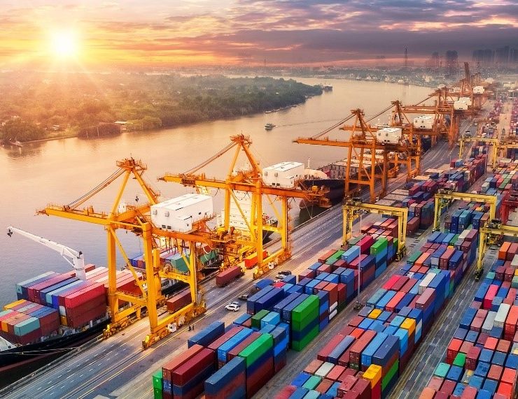 Comercio exterior y aduanas: Diana Foullon Gómez