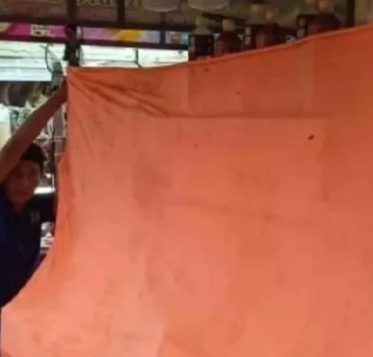 Dueños de puesto en Xmatkuil se disculpan tras clausura