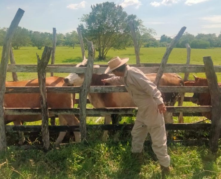 SINIIGA y SAGARPA realizan negocio redondo con el aretado de ganados