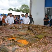 El pib más grande de Yucatán. Se usaron casi 100 kilos de masa