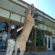 El Ligre Hércules: Un Tigre León Gigante