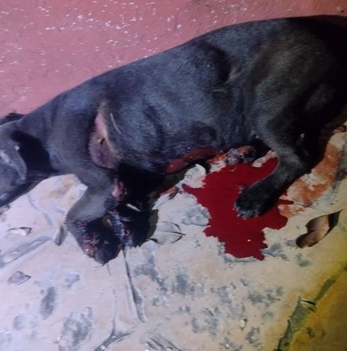 ¿Qué ocurrió en Tahmek?