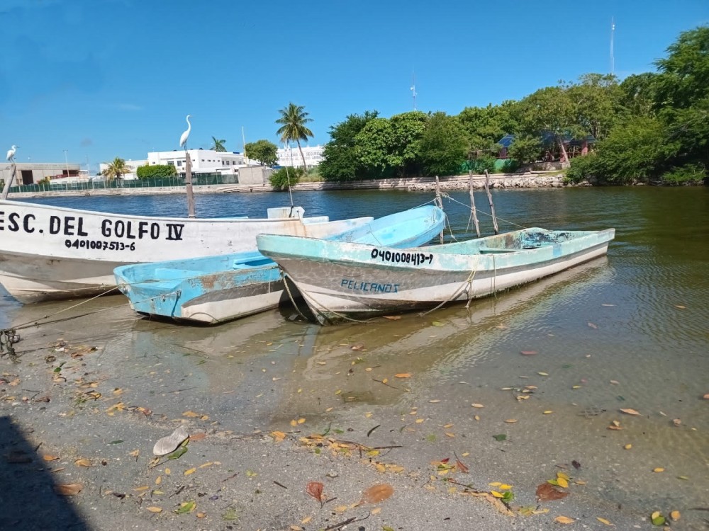 Mal tiempo y pesca baja afecta al sector ribereño