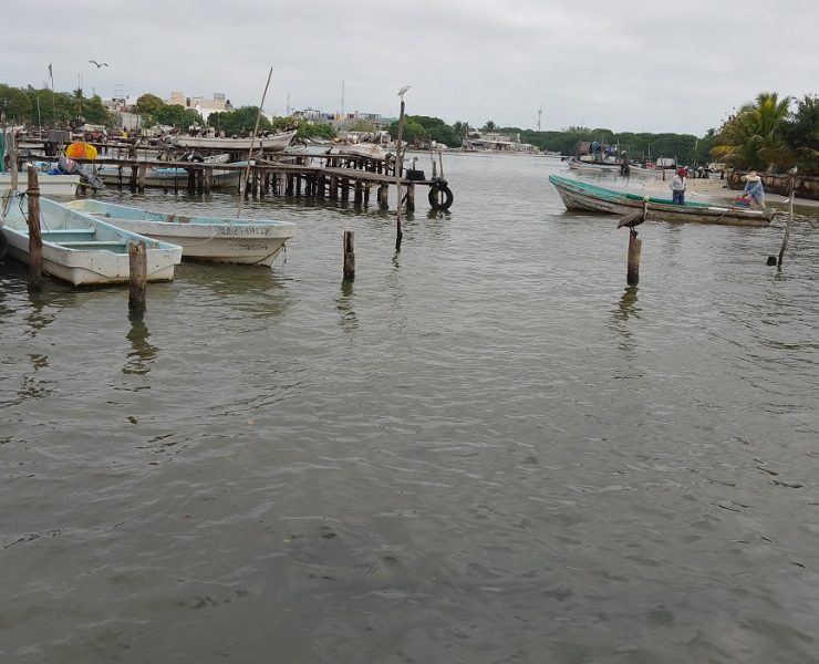Mal tiempo y pesca baja afecta al sector ribereño