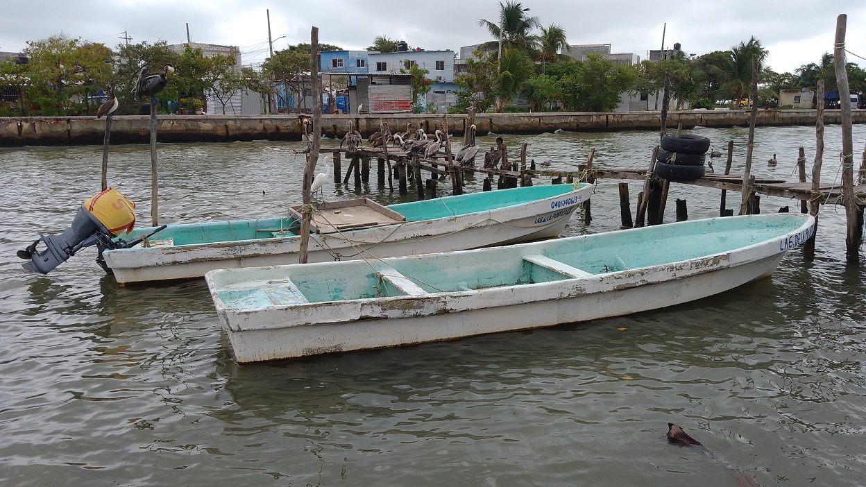 Mal tiempo y pesca baja afecta al sector ribereño