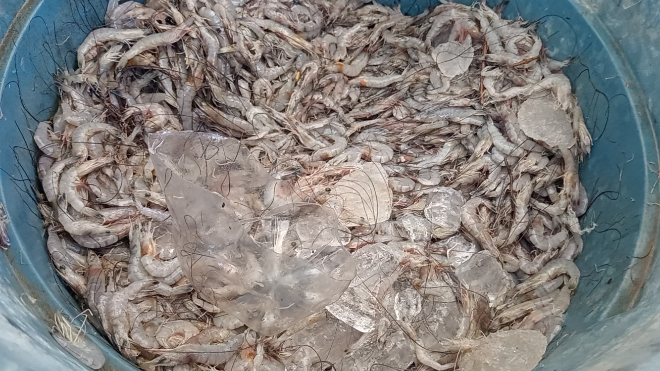 Pescadores ribereños apenas logran recuperar inversiones