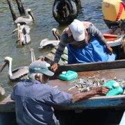 Sector pesquero ribereño pierde más de 600 mil pesos por el mal tiempo