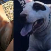 Joven gravemente herida tras brutal ataque de Bull terrier en Mérida