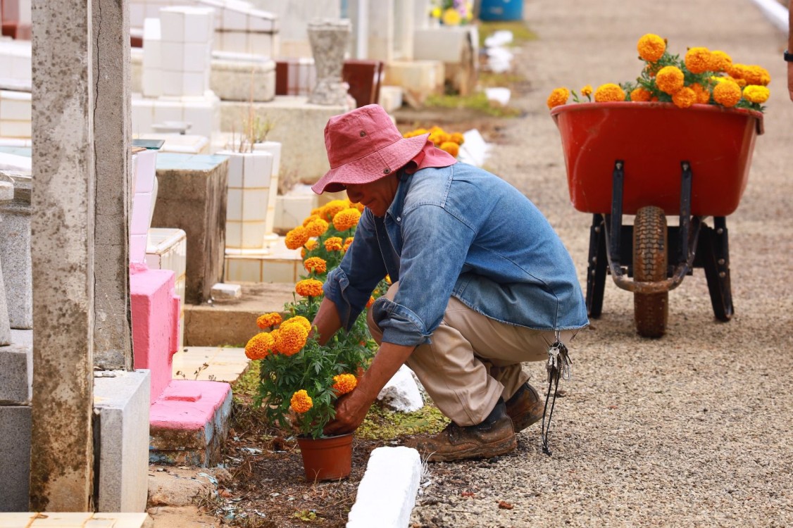 Prevención Sanitaria