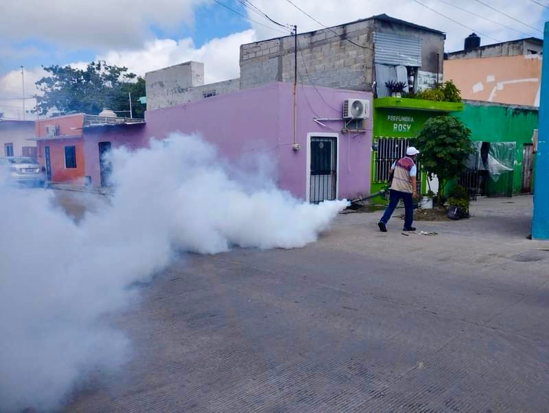 Refuerzan Operativo contra el Dengue en Tabasco Medidas de Prevención Efectivas