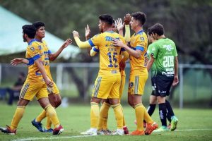 Los Tigres de la UANL, cuentan con una filial en Mérida, tanto varonil como femenil.