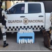 Coordinación entre fuerzas federales logra la detención de ocho personas y el aseguramiento de armamento y drogas