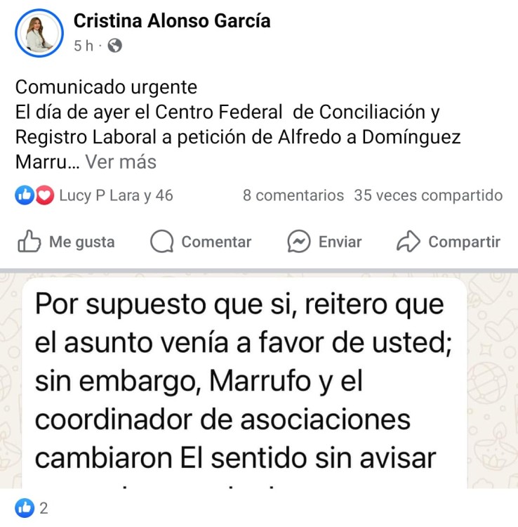 abanderada de la planilla guinda, Cristina Alonso