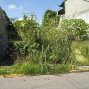 GRAFI-CASOS: En total abandono la colonia Reforma