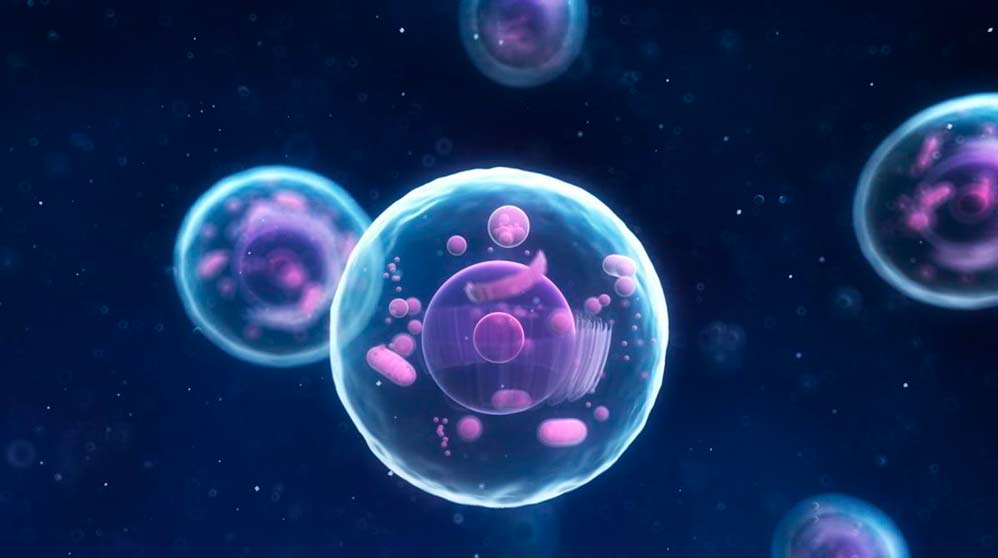 La importancia de mapear las células del cuerpo humano