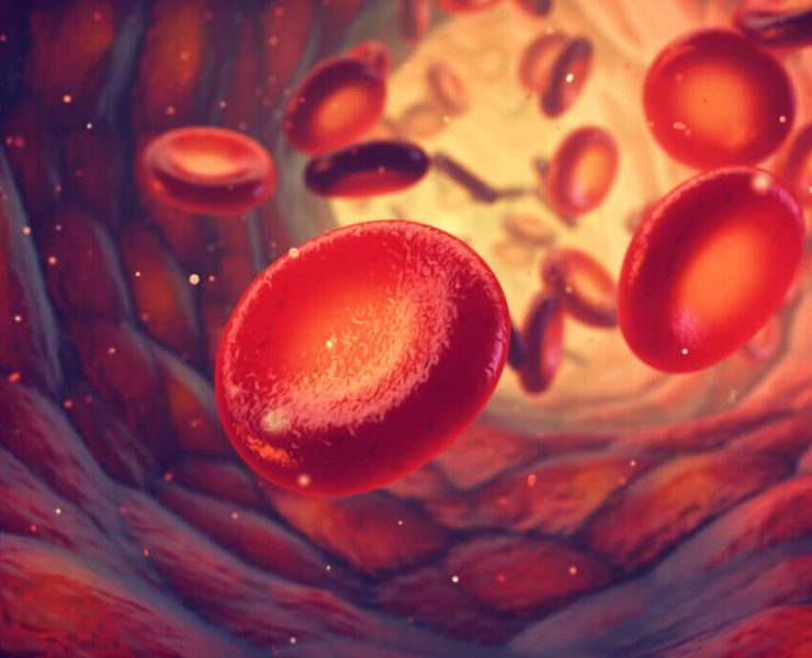 Mapearon las Células del Cuerpo Humano. Un Avance sin igual