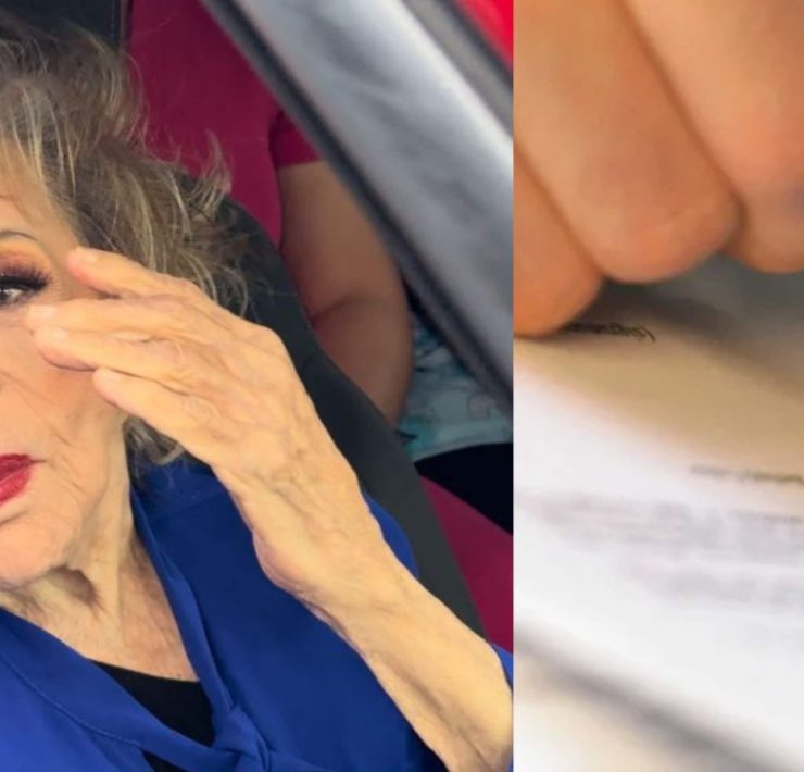 ¿Qué contiene la Herencia de Silvia Pinal